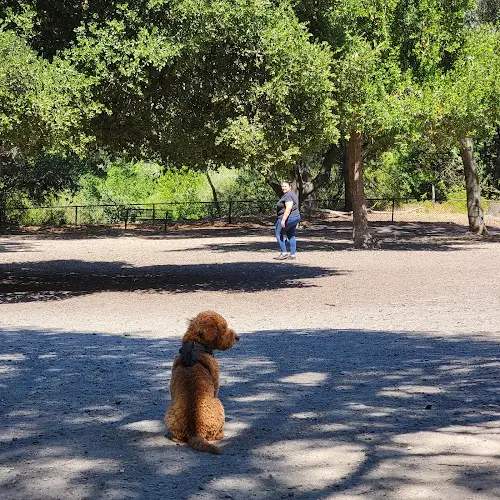 Dog Park Pinole Dog Park Richmond
