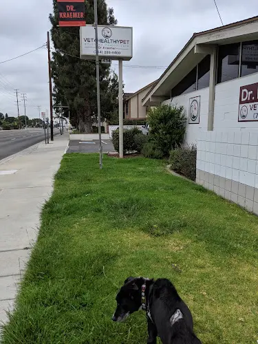 Pet boarding service Vet4HealthyPet Orange