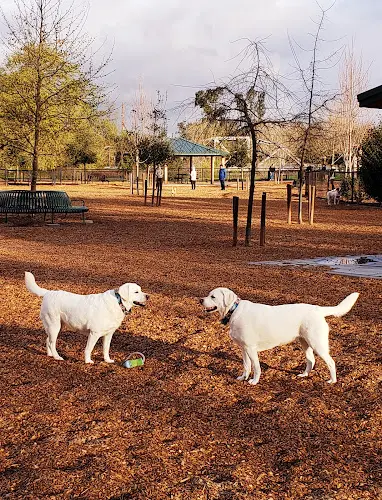 Dog Park Cubby's Dog Park Hayward
