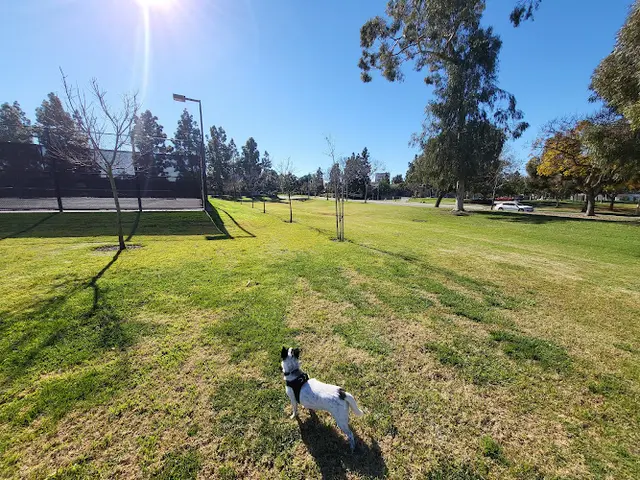 Dog Park San Carlo Park Irvine