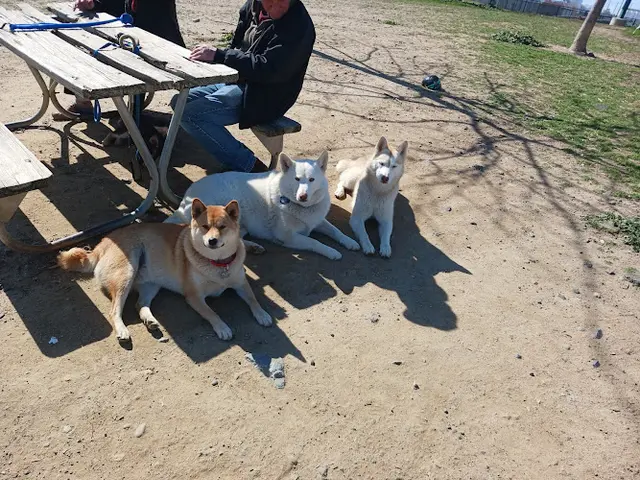Dog Park Sutter’s Landing Dog Park Sacramento
