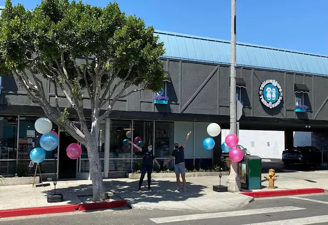 Rescue & Shelter Tailwaggers & Tailwashers Larchmont Village Los Angeles