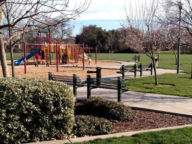 Dog Park Dugan Park Roseville