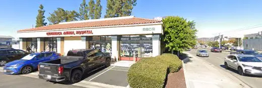 Pet vet Cuyamaca Animal Hospital El Cajon