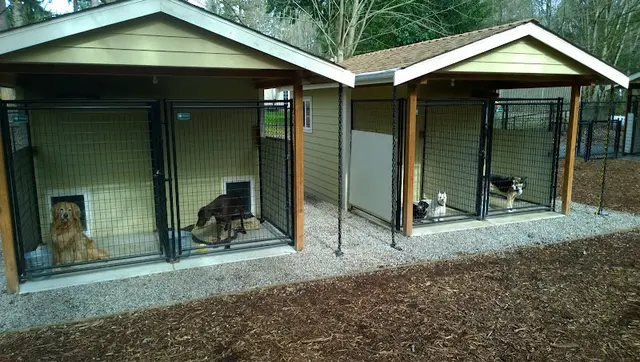Dog day care center Pioneer K-9 Kennels Federal Way