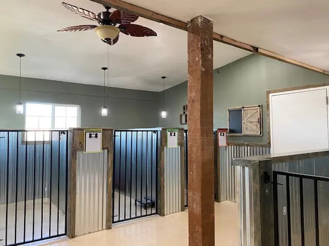 Dog day care center Cornerstone Country Canine Sacramento