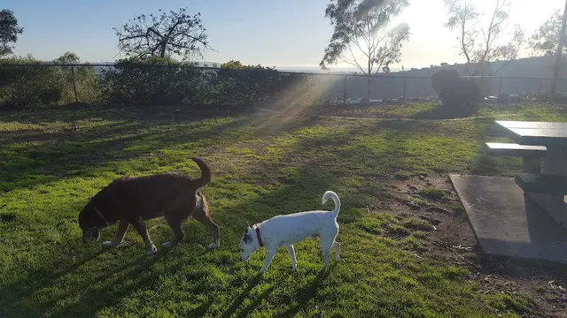 Dog Park Cadman Recreation Center San Diego