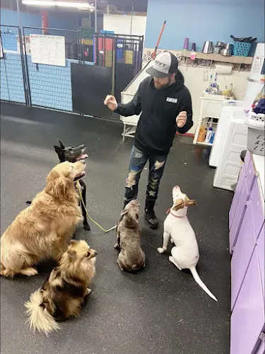Pet vet Grand Fur Lodge Hillsboro