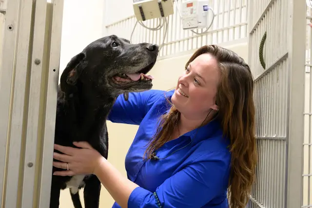 Dog day care center VCA California Veterinary Specialists-Carlsbad Carlsbad
