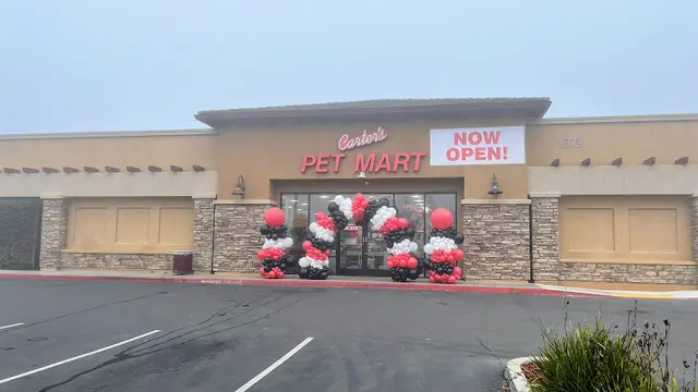 Rescue & Shelter Carters pet mart inc Stockton