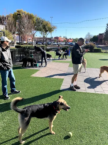 Dog Park Village Green Dog Park Sunnyvale