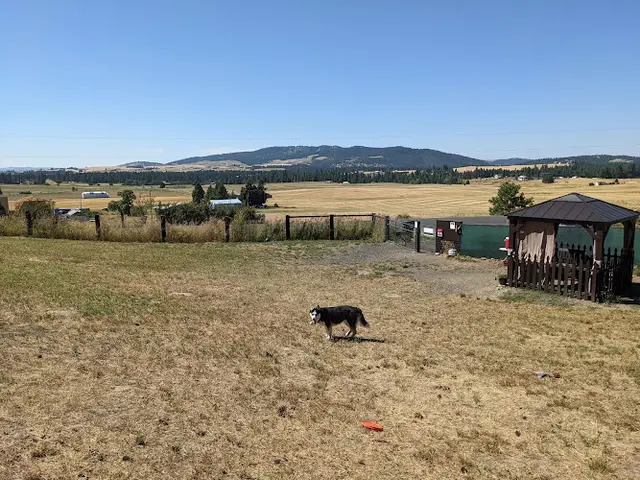 Dog Park Dawn to Dusk Doggy Domain Private Dog Park- By Reservation Only Spokane