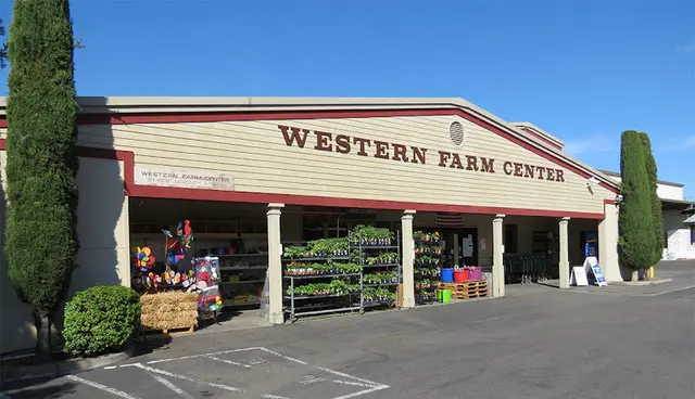 Dog day care center Western Farm Center Santa Rosa