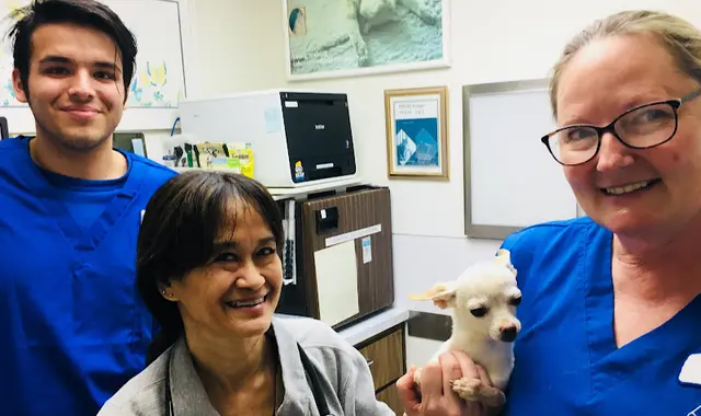 Pet vet Animal Hospital of Redondo Beach Carson