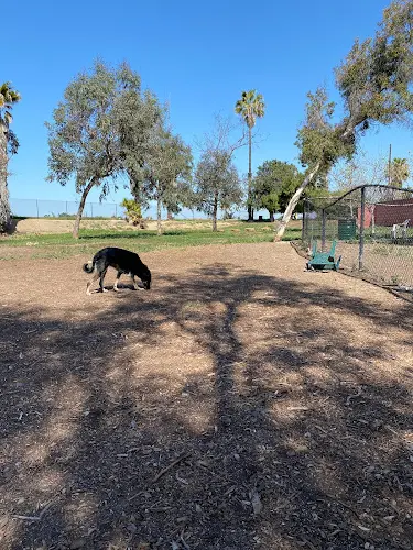 Dog Park Wrigley Heights Dog Park Downey