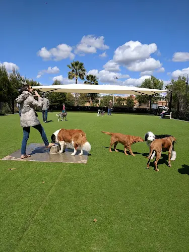 Dog Park Barker Ranch Dog Park Irvine