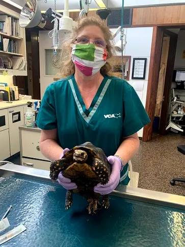 Pet boarding service VCA Albany Animal Hospital Berkeley