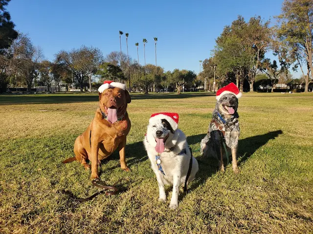 Dog Park Stearns Champions Park Long Beach