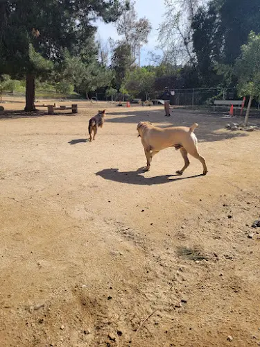 Dog Park Hermon Dog Park Inglewood
