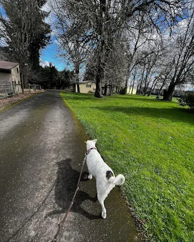 Dog day care center The Charlton Kennels and Farm Portland