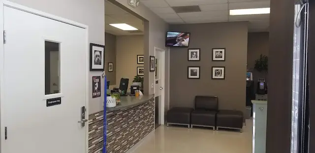 Pet boarding service VCA Eye Clinic for Animals San Diego
