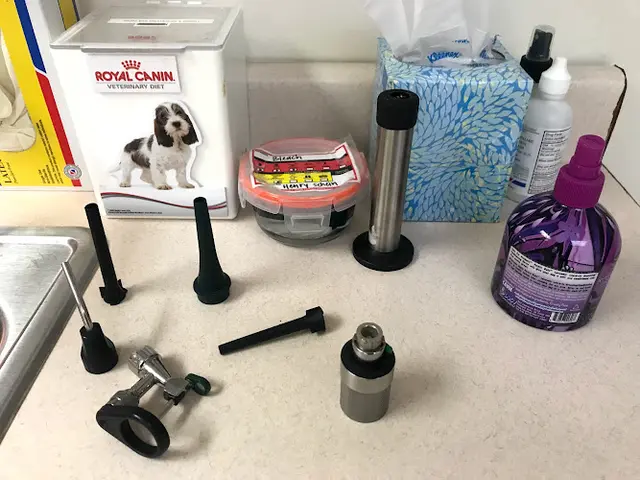 Pet vet Marina Veterinary Center Los Angeles