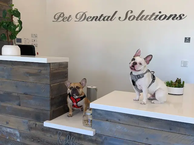 Pet vet Pet Dental Solutions Westminster