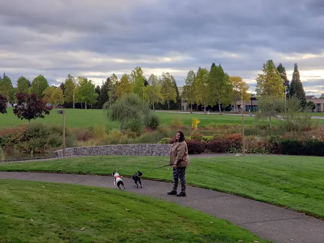 Dog Park Amberglen Park North Hillsboro