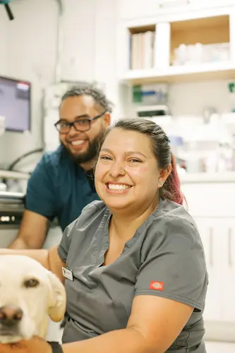 Pet vet The Grand Lake Veterinary Hospital Oakland