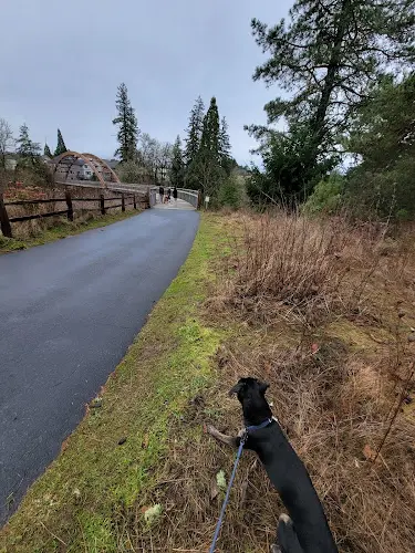 Dog Park Orenco Woods Neighborhood Park Hillsboro