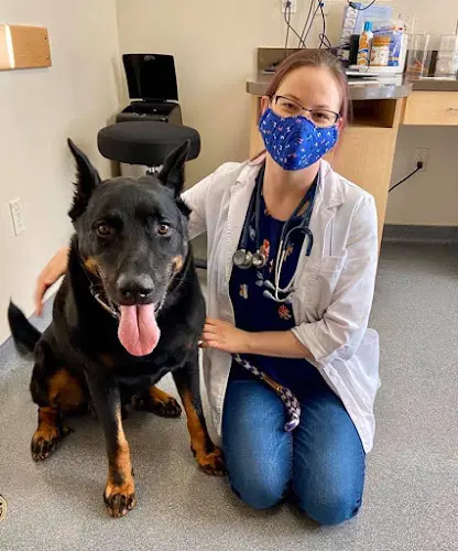 Pet vet VCA Pinnacle Animal Hospital Sunnyvale