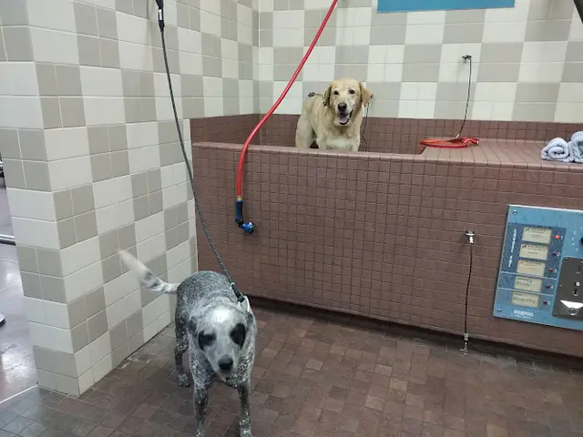 Rescue & Shelter Pet Food Express Sunnyvale