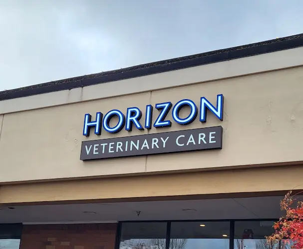 Pet vet Horizon Veterinary Care Vancouver