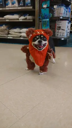 Pet vet Petco Riverside