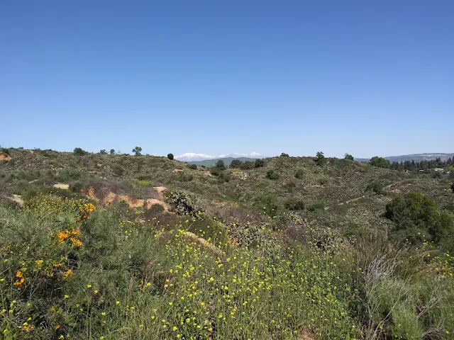 Dog walker Nora Kuttner Recreational Trail Fullerton