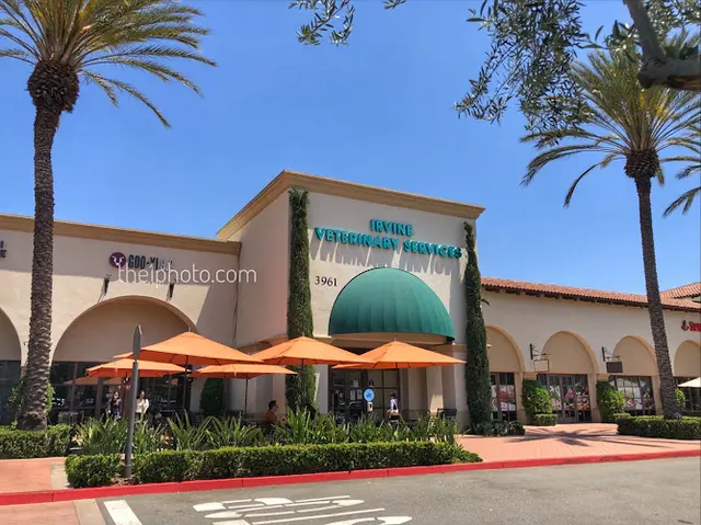 Dog day care center VCA Irvine North Park Animal Hospital Irvine