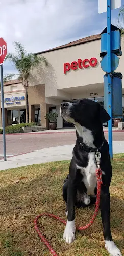 Dog day care center Petco Mission Viejo