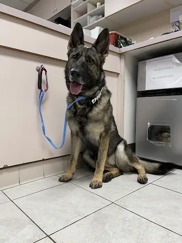 Pet vet Tustin Santa Ana Vet Hospital Orange