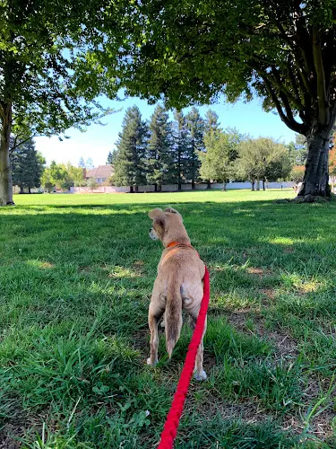 Dog breeder Pets In Need Palo Alto Daly City