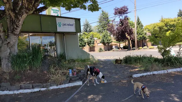 Pet vet Pacific Pets Hillsboro