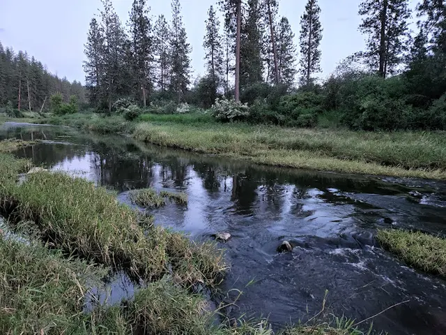 Dog Park Hangman Creek Natural Area Spokane