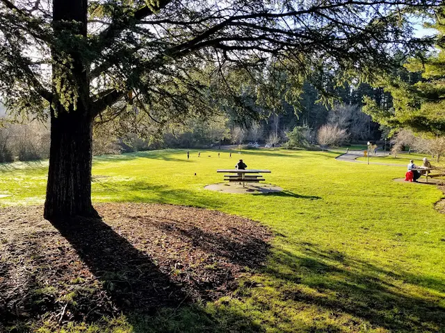 Dog Park Fairhaven Park Bellingham
