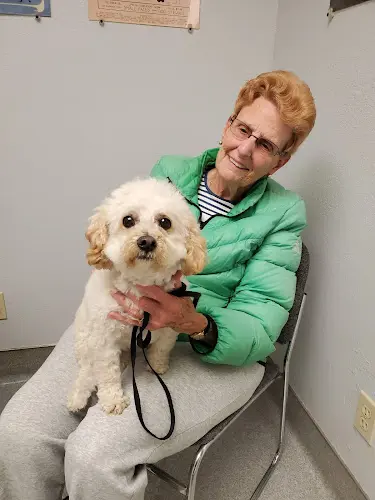 Pet vet Masson Veterinary Hospital San Mateo