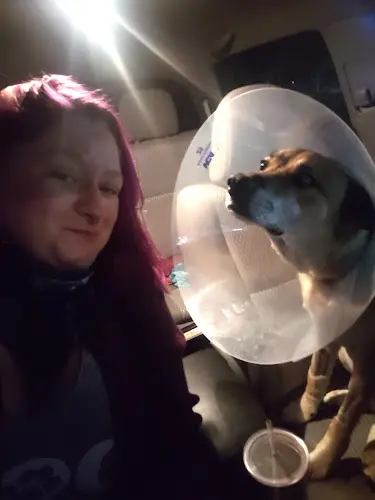 Pet vet Sacramento Veterinary Referral: Hammond Genevieve DVM Sacramento