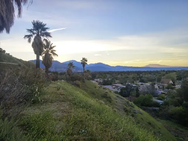 Dog walker Circle Rd. Park San Bernardino