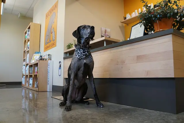 Pet boarding service Buckman Veterinary Clinic Portland