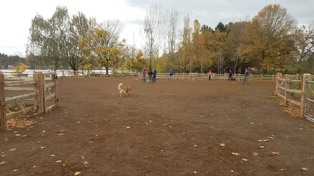Dog Park Willamette Park Dog Park Gresham
