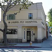 Pet vet Laurel Pet Hospital: Seoud Moustafa T DVM Santa Monica
