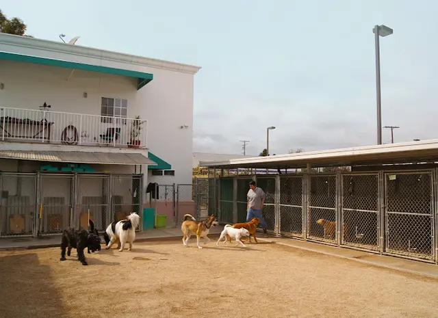 Dog day care center Mar Mel Inn ~ Bed & Breakfast for Dogs and Cats Long Beach