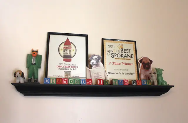 Dog trainer Diamonds In the Ruff Spokane